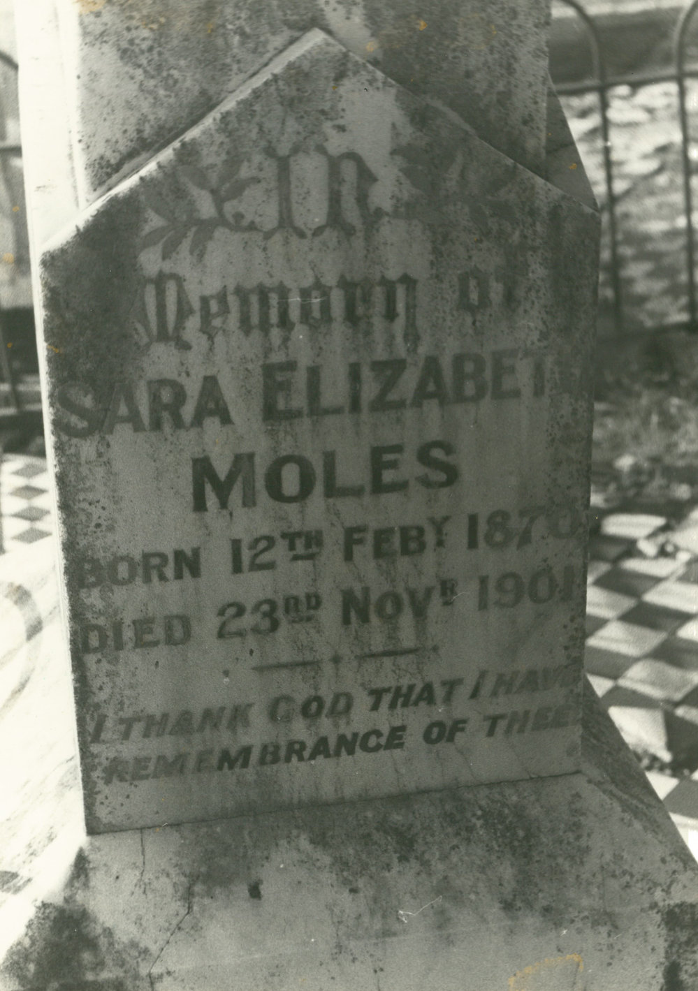 Sara Elizabeth Moles headstone, Albion Park Pioneer Cemetery