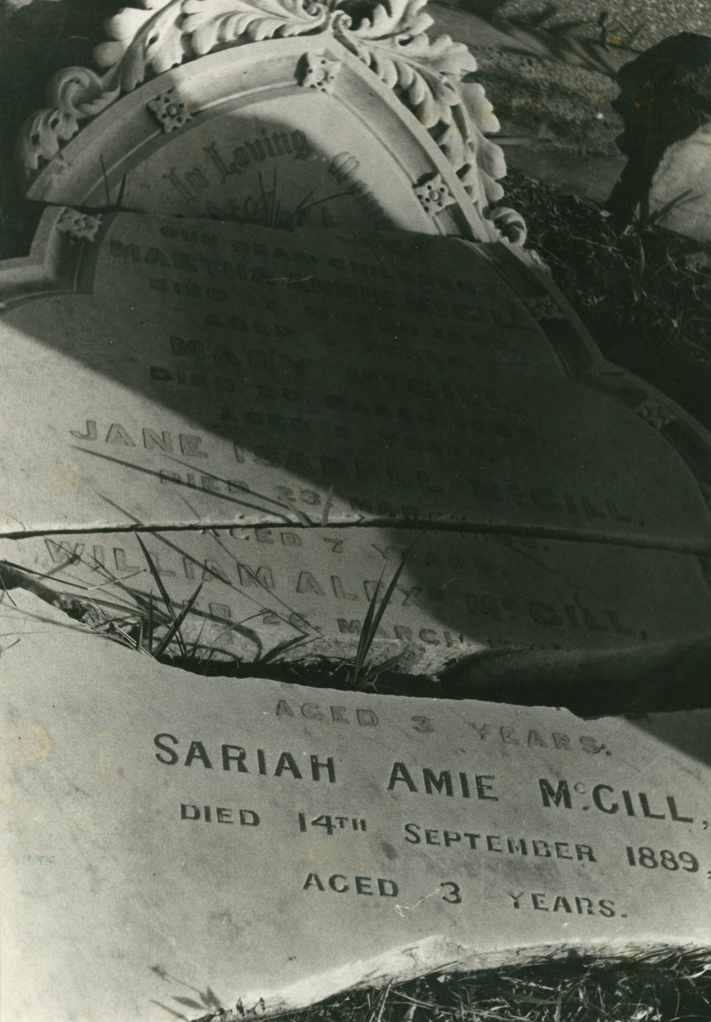 McGill Family headstone, Albion Park Pioneer Cemetery