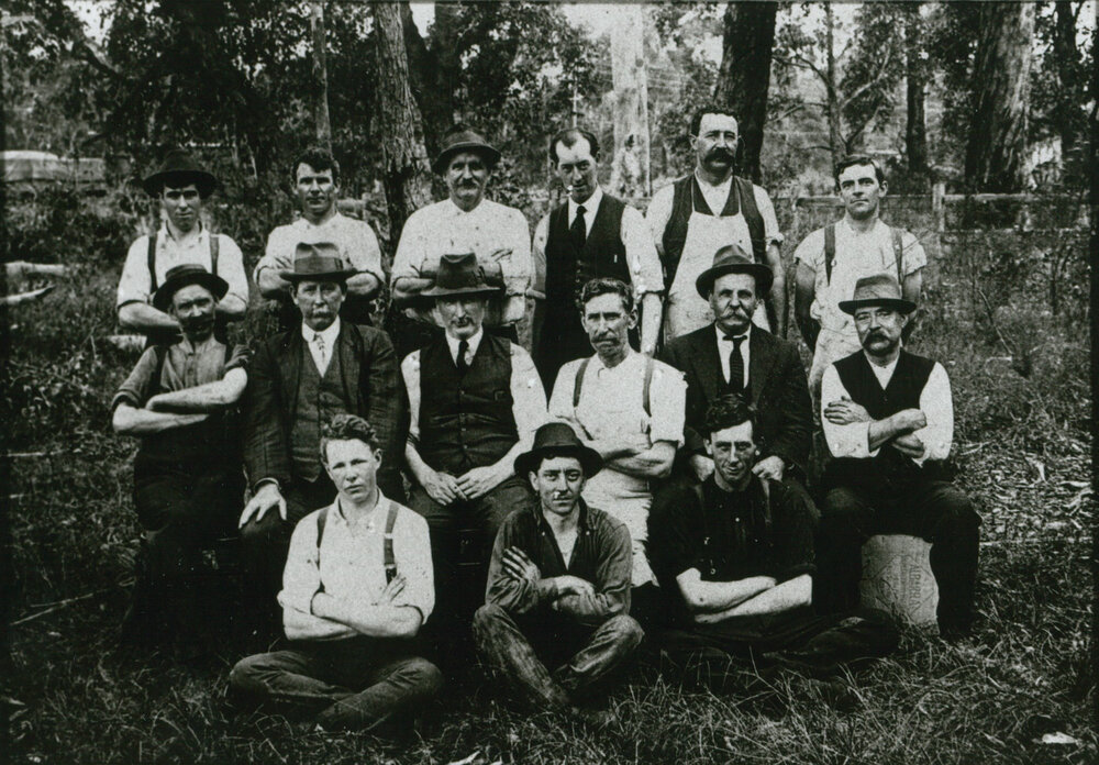 Illawarra Cooperative Central Dairy Society Ltd 1917