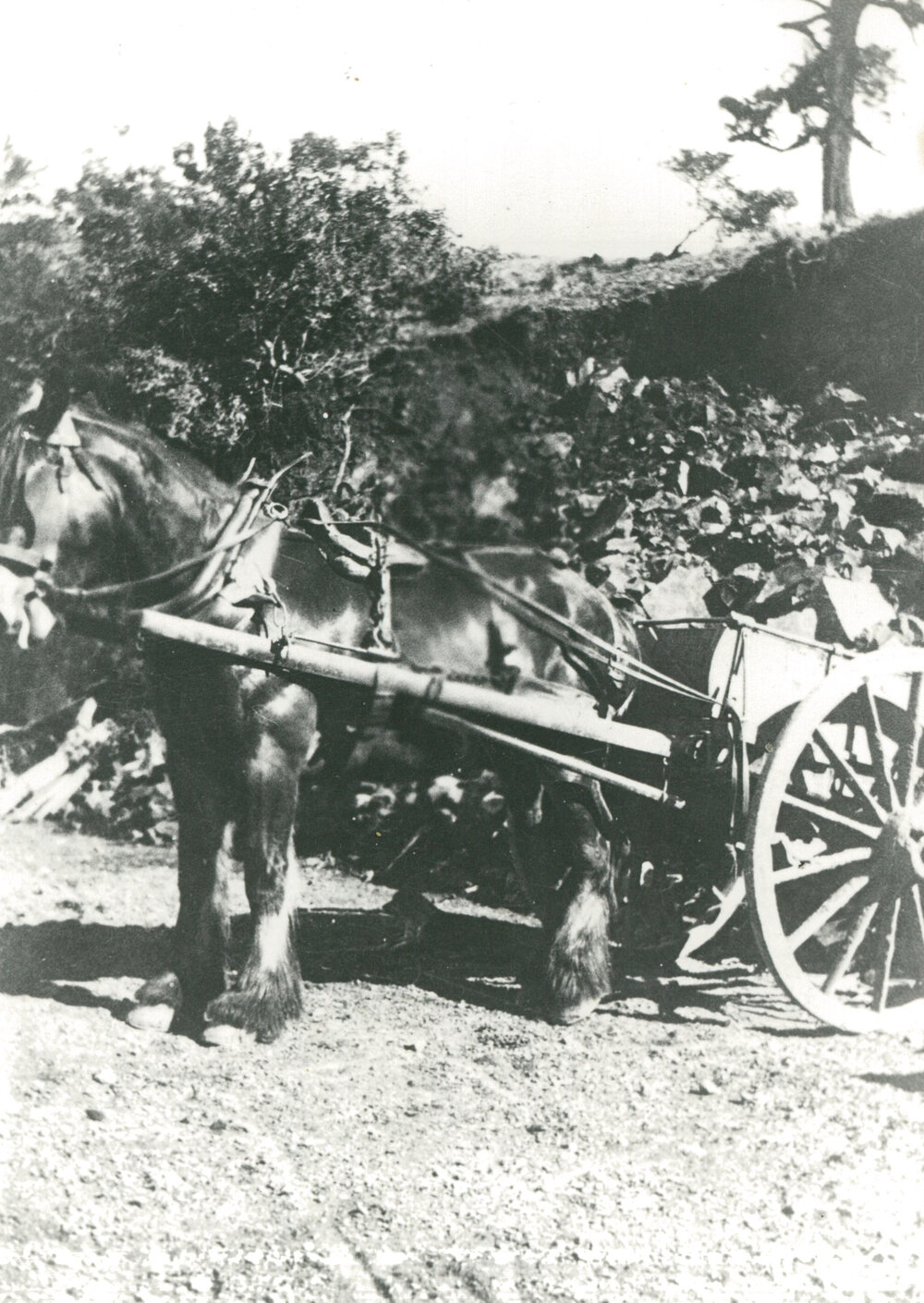 Horse and cart load of blue metal from the quarry
