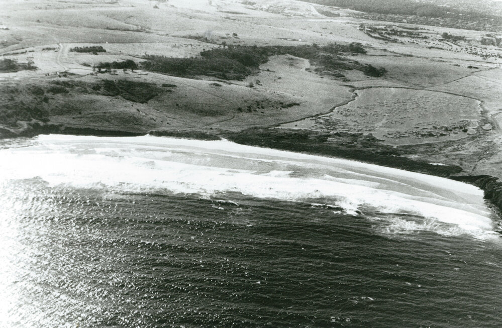 Aerial view of Killalea Beach and swamp 1983
