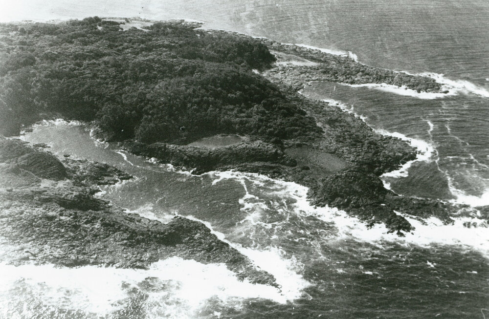Aerial view of Bushranger's Bay, Bass Point 1983