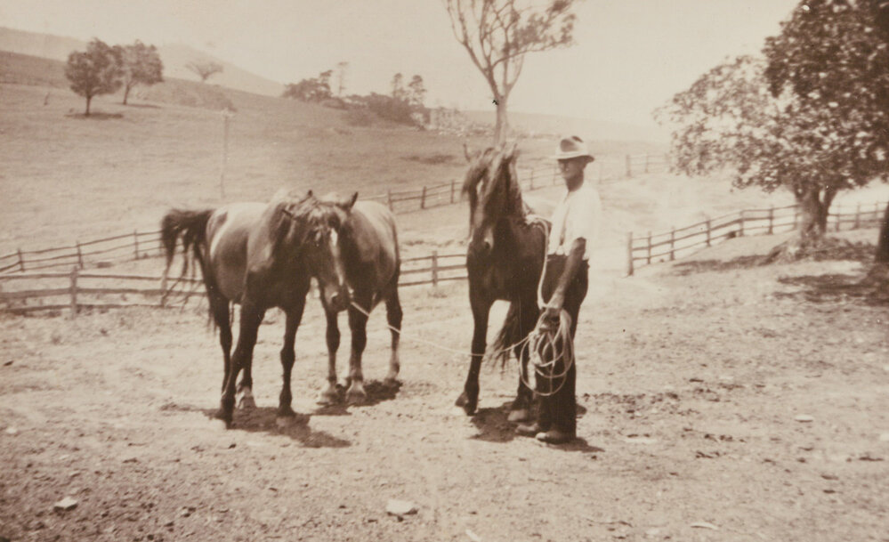 Frederick (Fred) McDonald