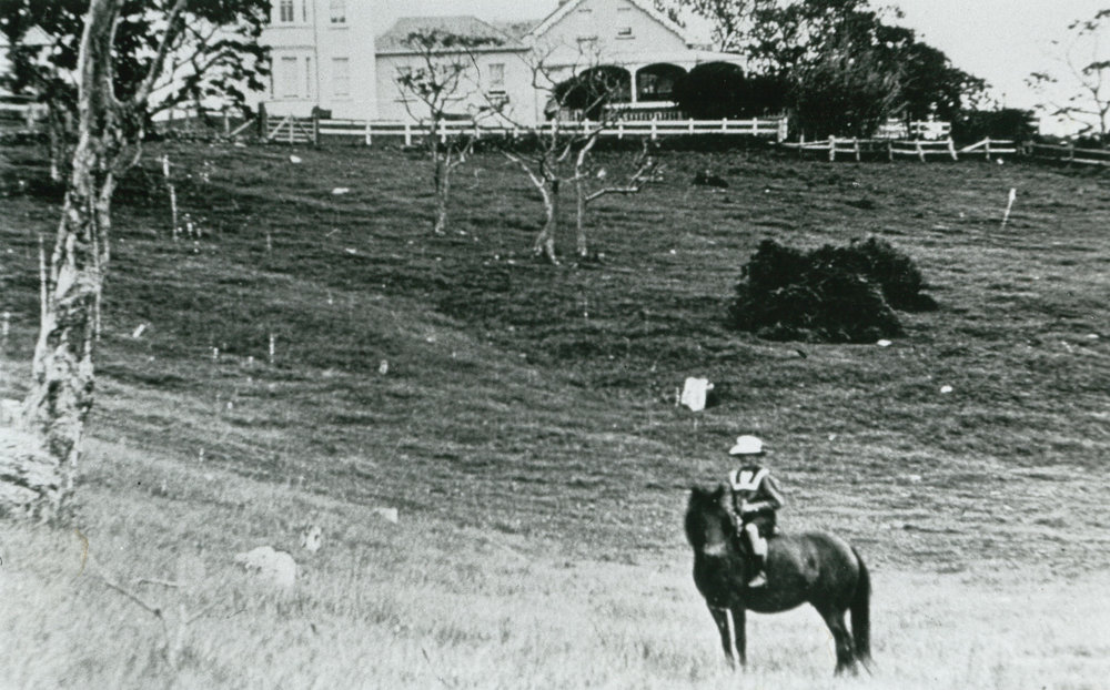 Dunmore House