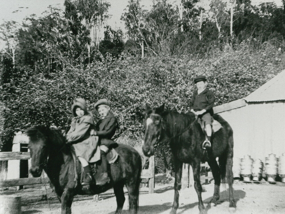 The Thomas children at 'Clover Hill'