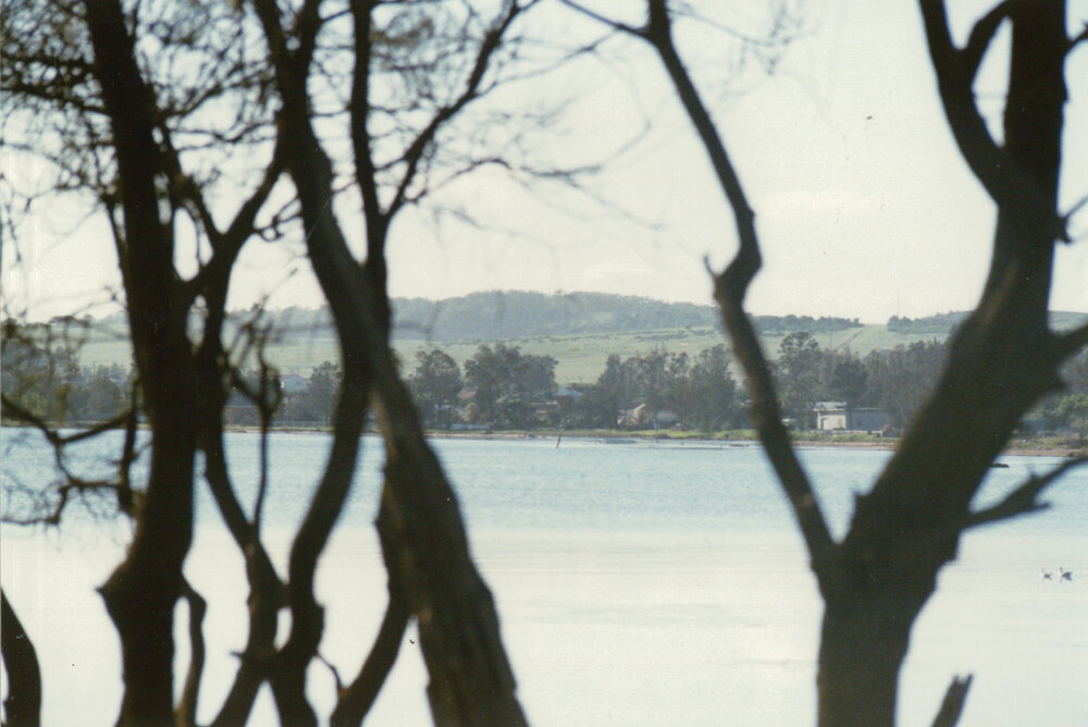 Blackbutt from Oak Flats