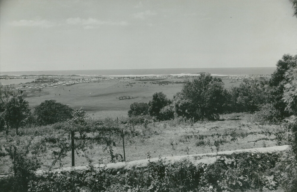Warilla looking east from Mt Warrigal in the 1950s