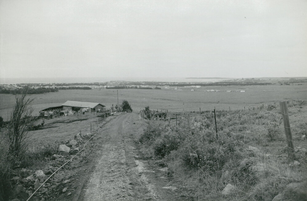 Warilla from Mt Warrigal in the 1950s