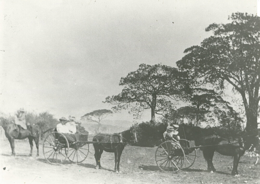 The Dunster family driving their buggies to a picnic spot