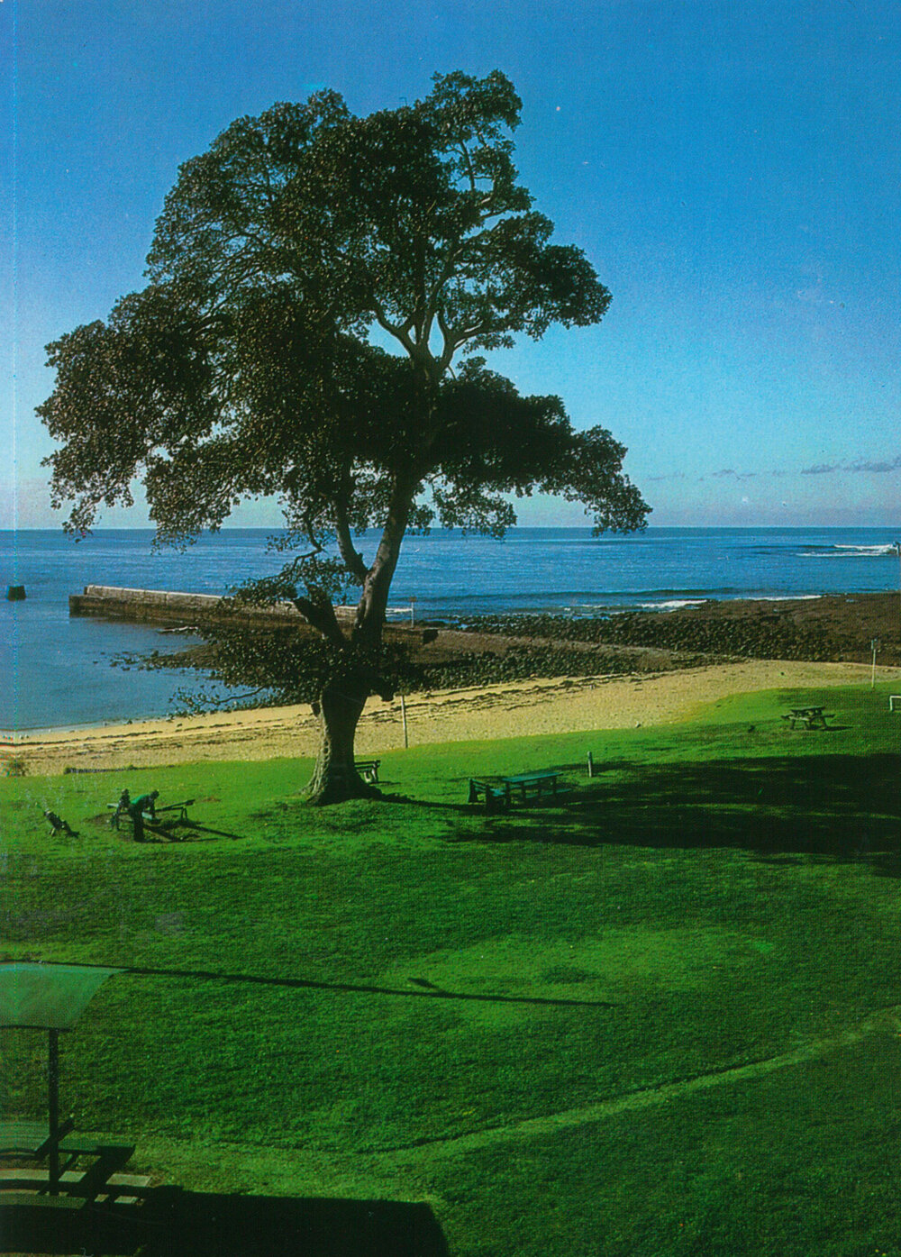 Little Park, Shellharbour