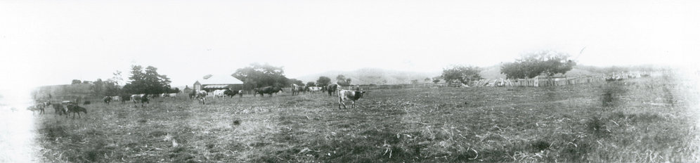 'Mount Terry' homestead and farm