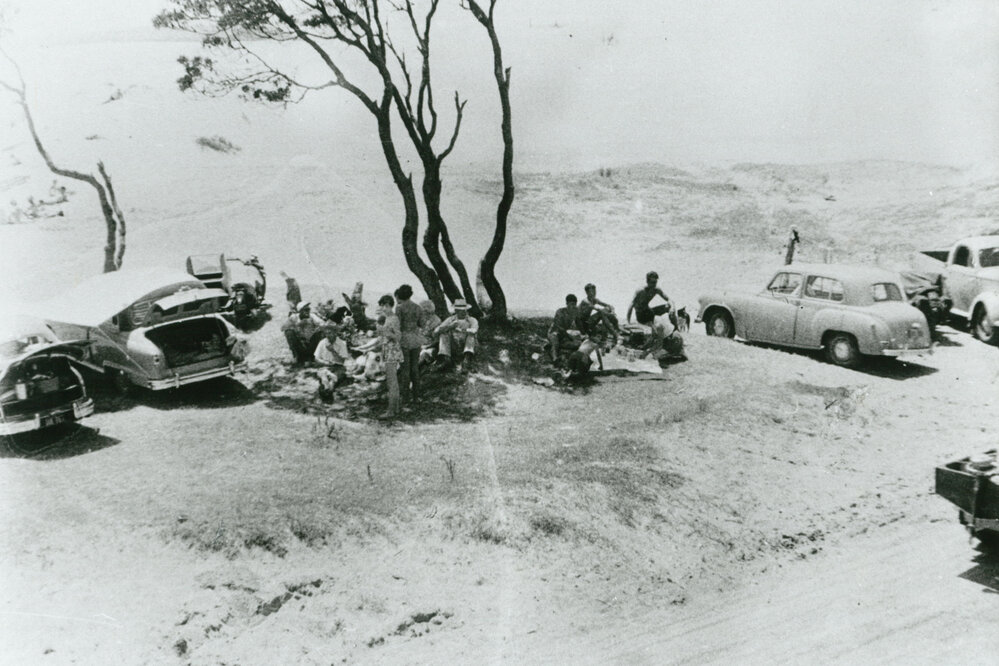 Picnic at Lake Illawarra foreshore