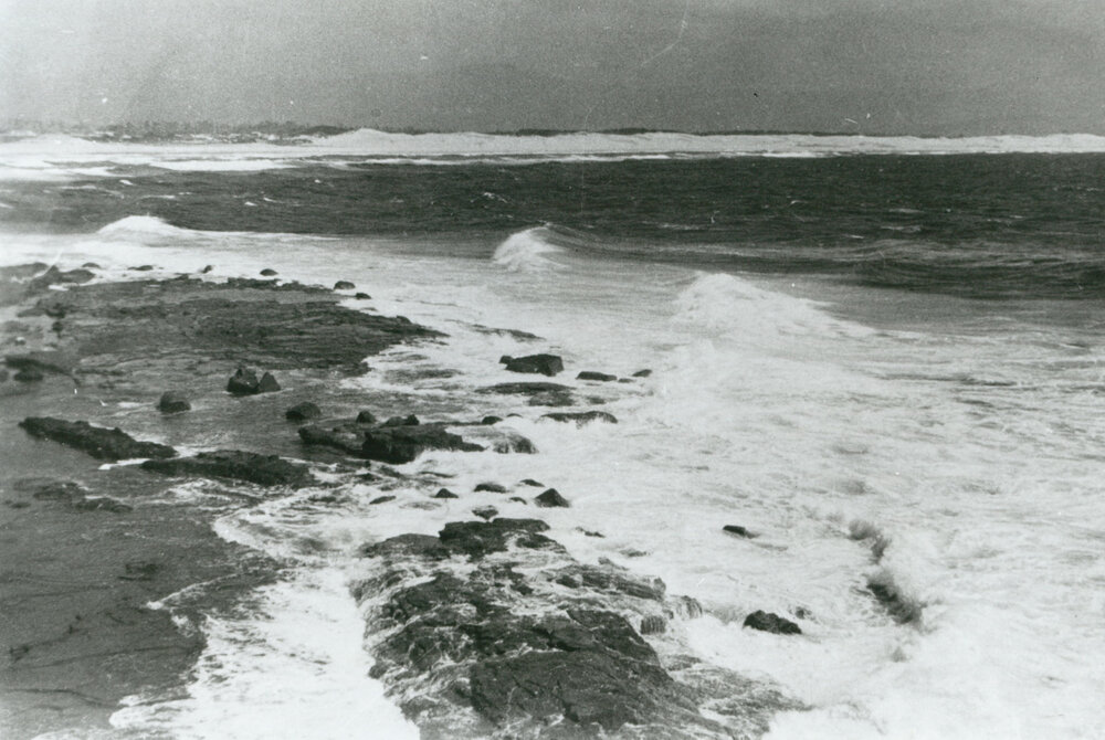 View from Windang Island