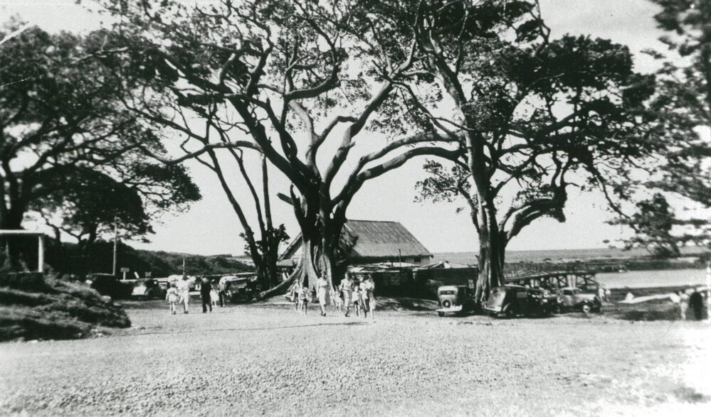 Shellharbour Harbour