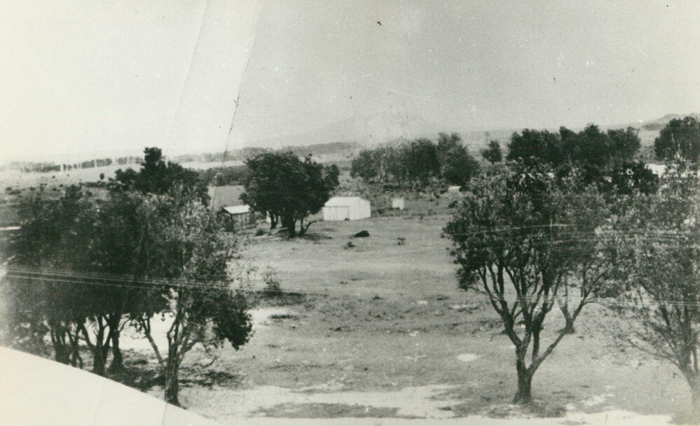 Woodford Park campground, Warilla