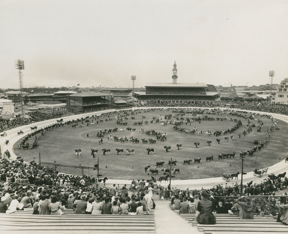 Grand Parade, Sydney Royal Easter Show