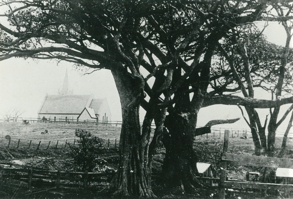 St Paul's Church of England, Shellharbour