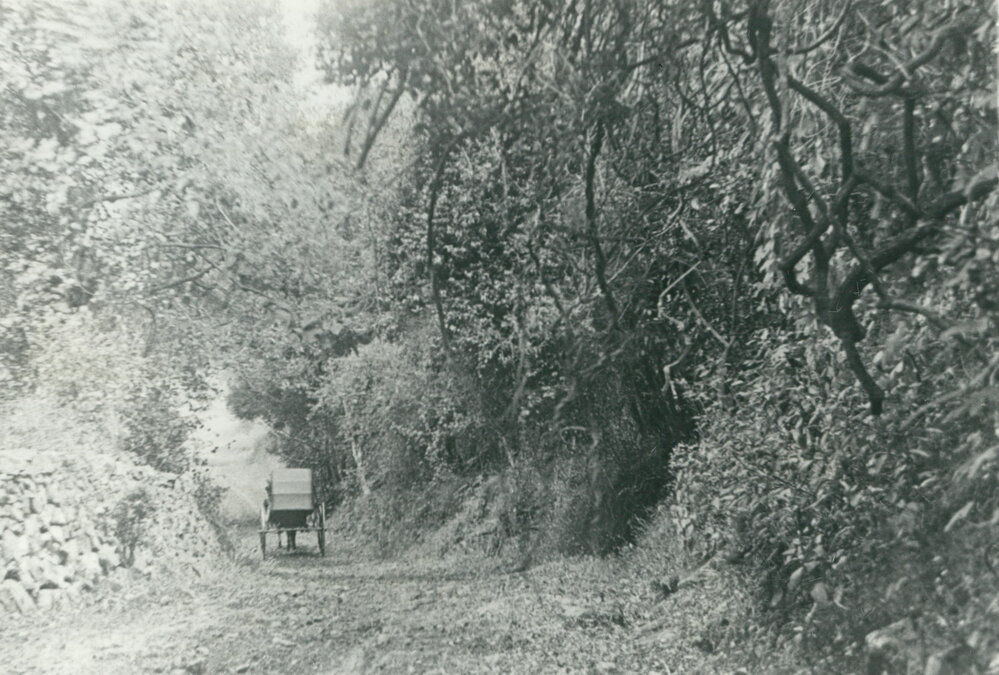 Condon's, Swamp Rd,  Dunmore