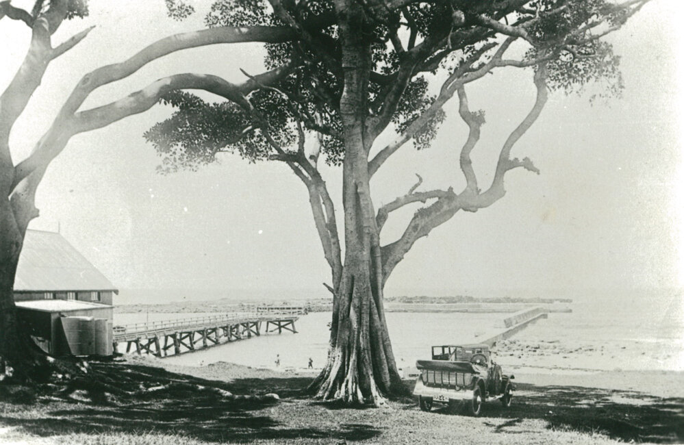 Shellharbour waterfront 