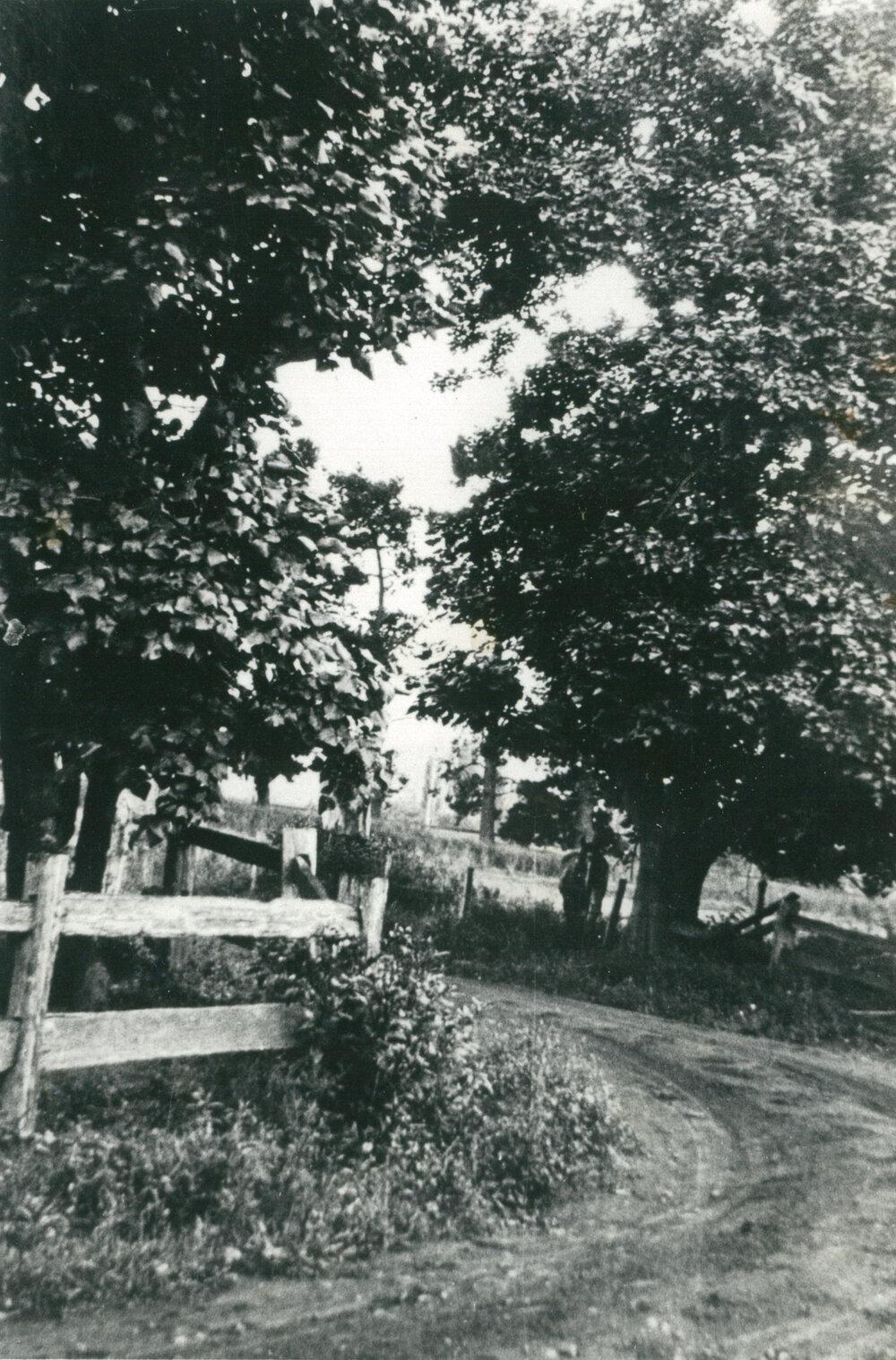 Rural scene Peterborough Estate, Shellharbour about 1920