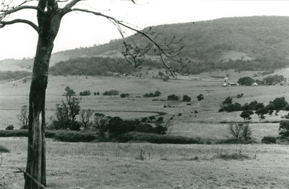 Farmland looking from Croome Rd towards Mt Terry 1984