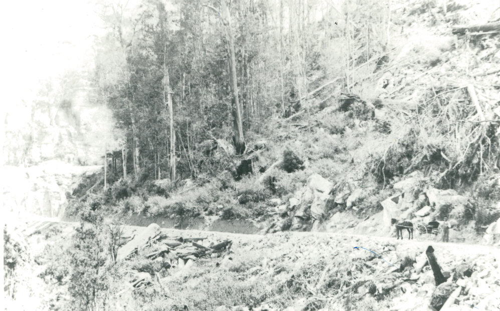 Buggy on Macquarie Pass 1898