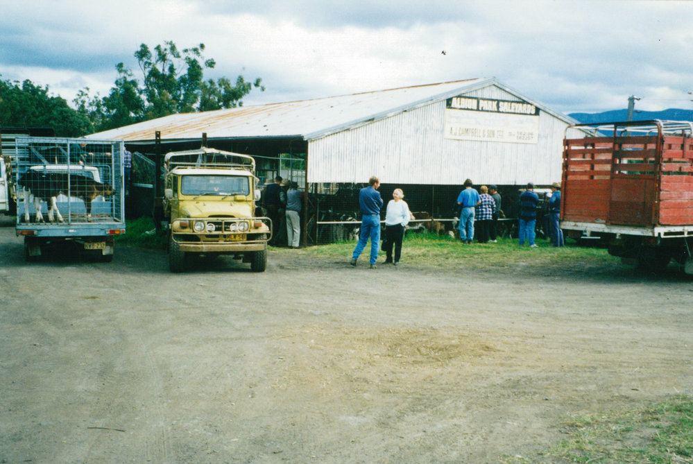 Albion Park Saleyards 1997