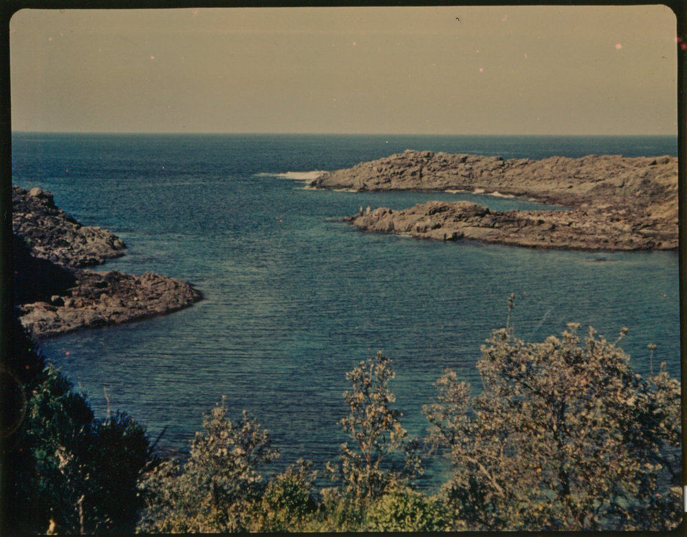 Bushrangers Bay Aquatic Reserve, Bass Point