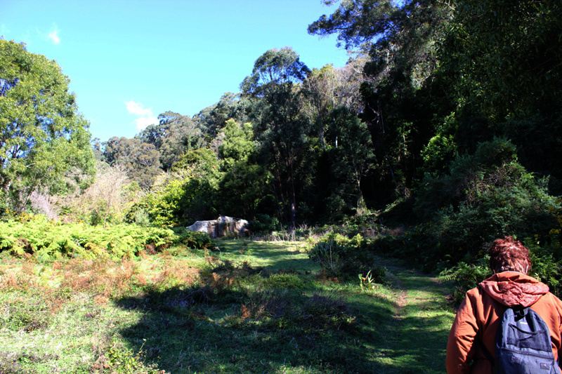 Ruins of Ben Turner's House at Clover Hill