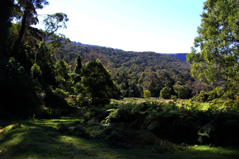 Site of Ben Turner's House at Clover Hill