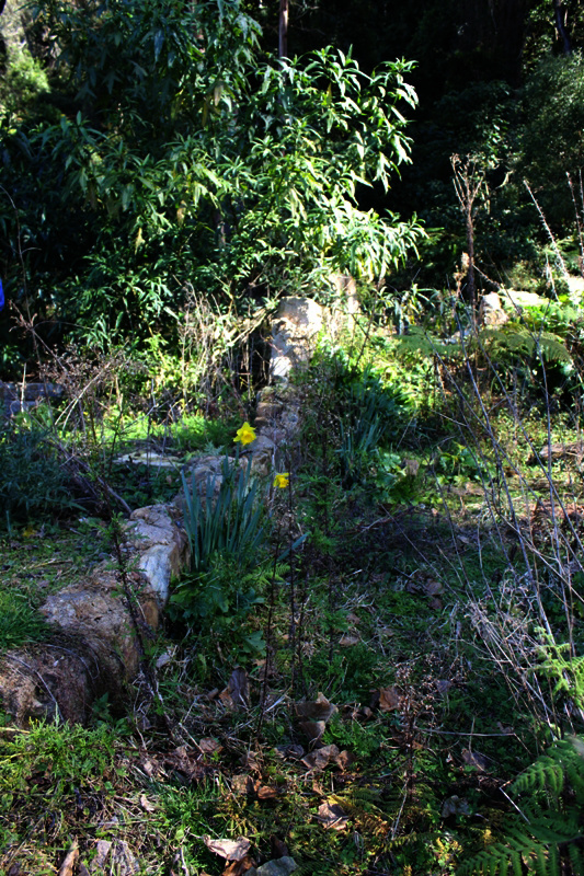 Ruins of Ben Turner's House at Clover Hill