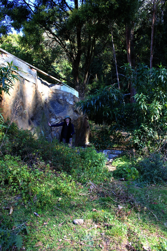 Ruins of Ben Turner's House at Clover Hill