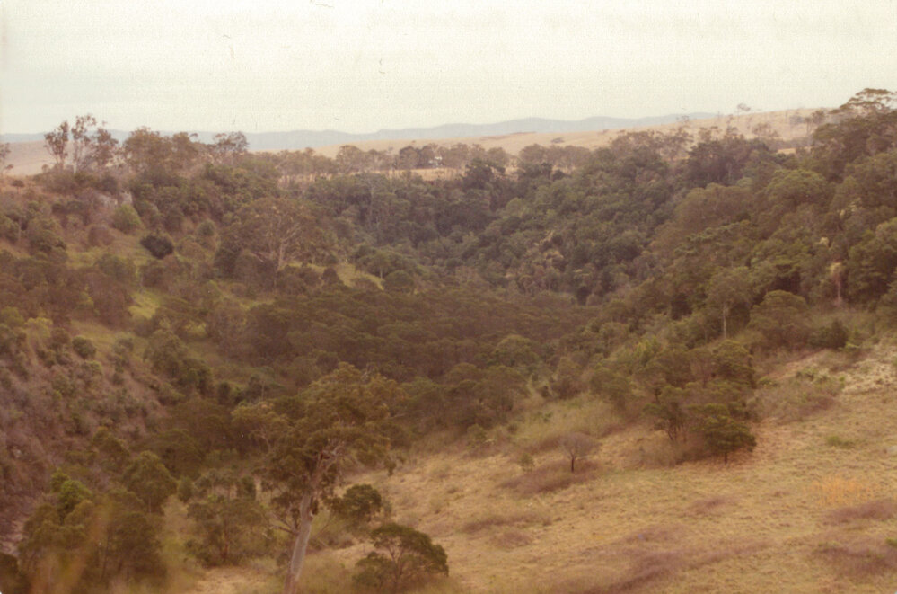 Valley Adjacent to Dunmore Quarry