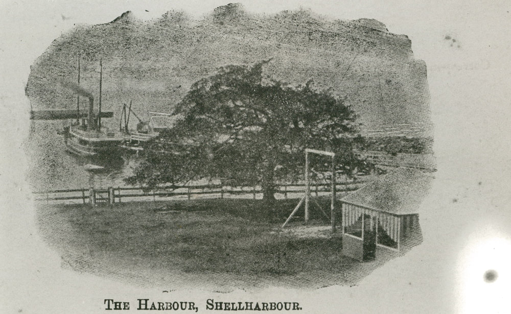 SS 'Peterborough' at Shellharbour