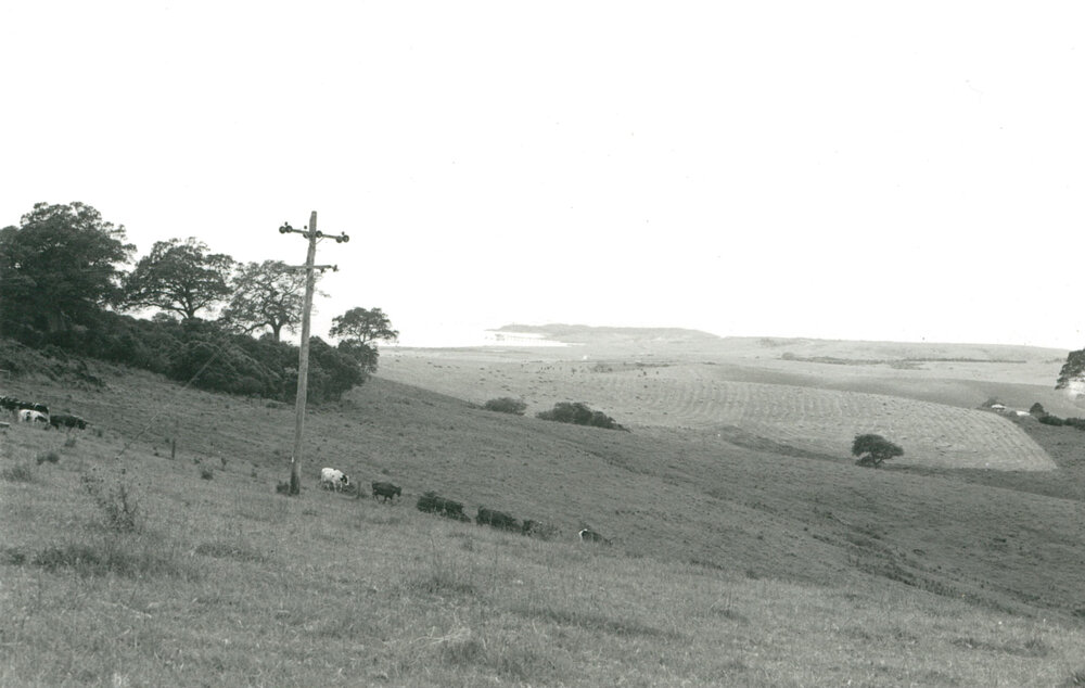 View from Dunster's Hill to Bass Point