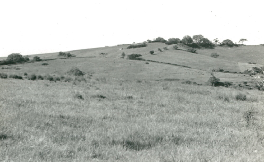 View from Stoney Range to Dunster's Hill