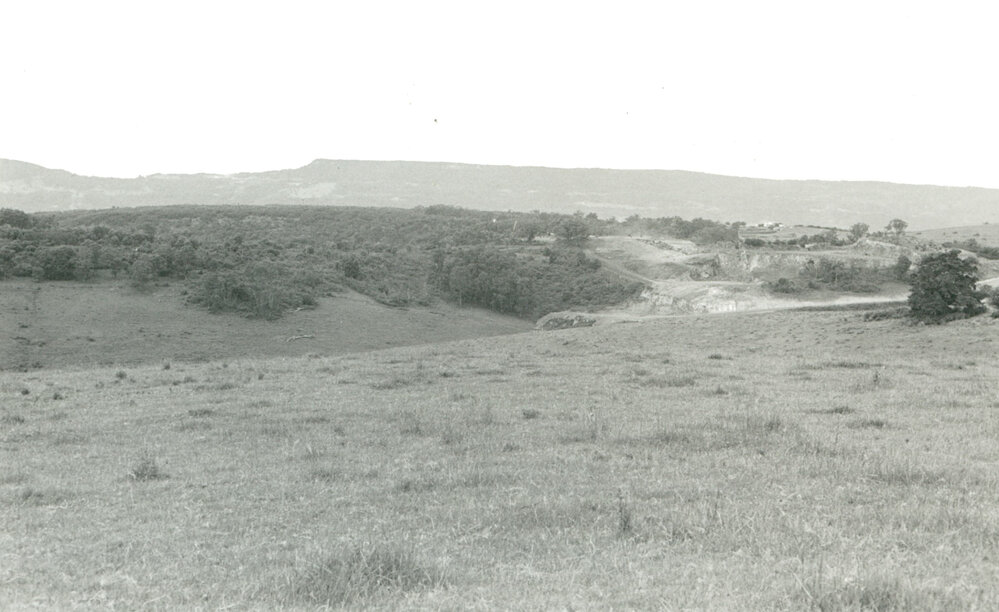 CSR Quarry, Wentworth Hills