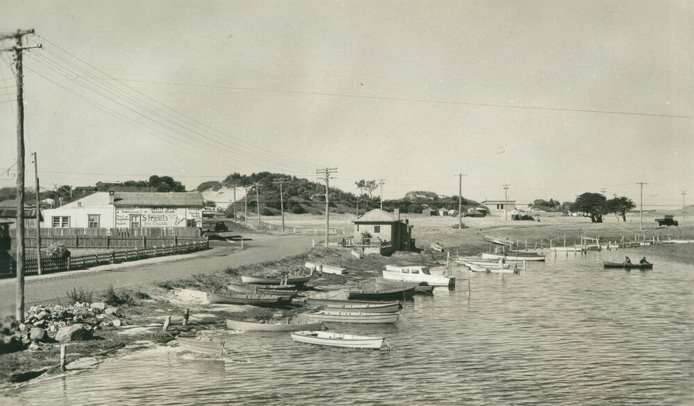 Lake Illawarra South