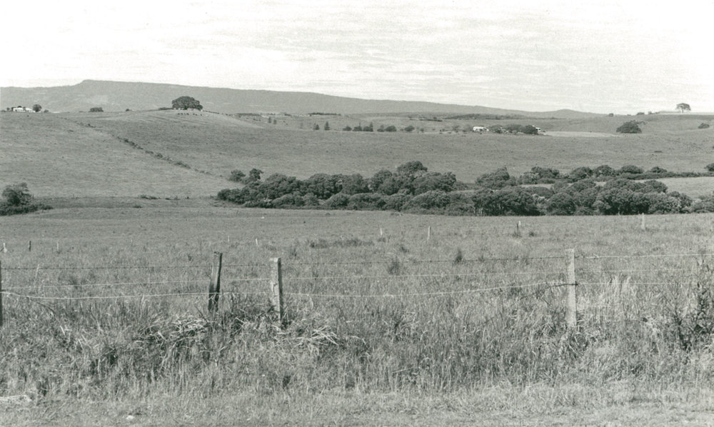 View South Towards Kiama
