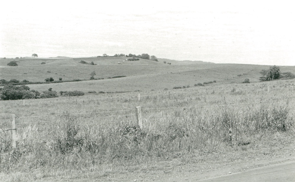 Dunster's Hill