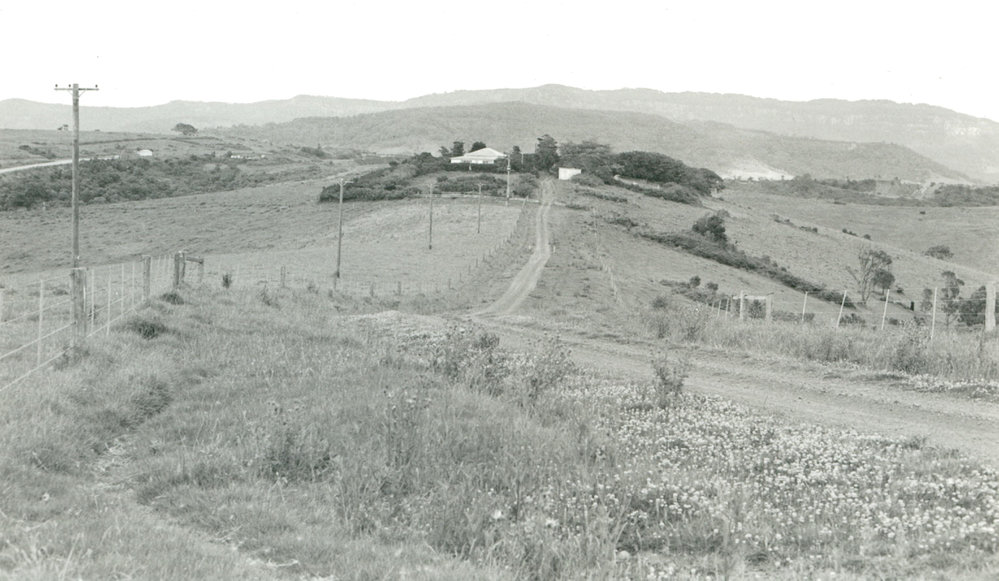Kyawana Farm from Dunster's Hill