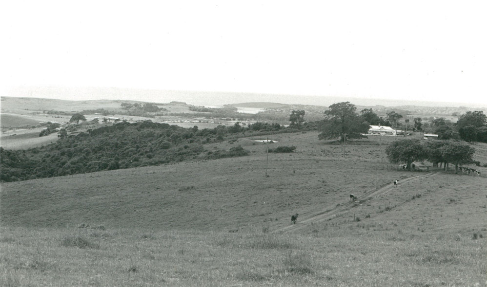 Bellmont Farm from Dunster's Hill
