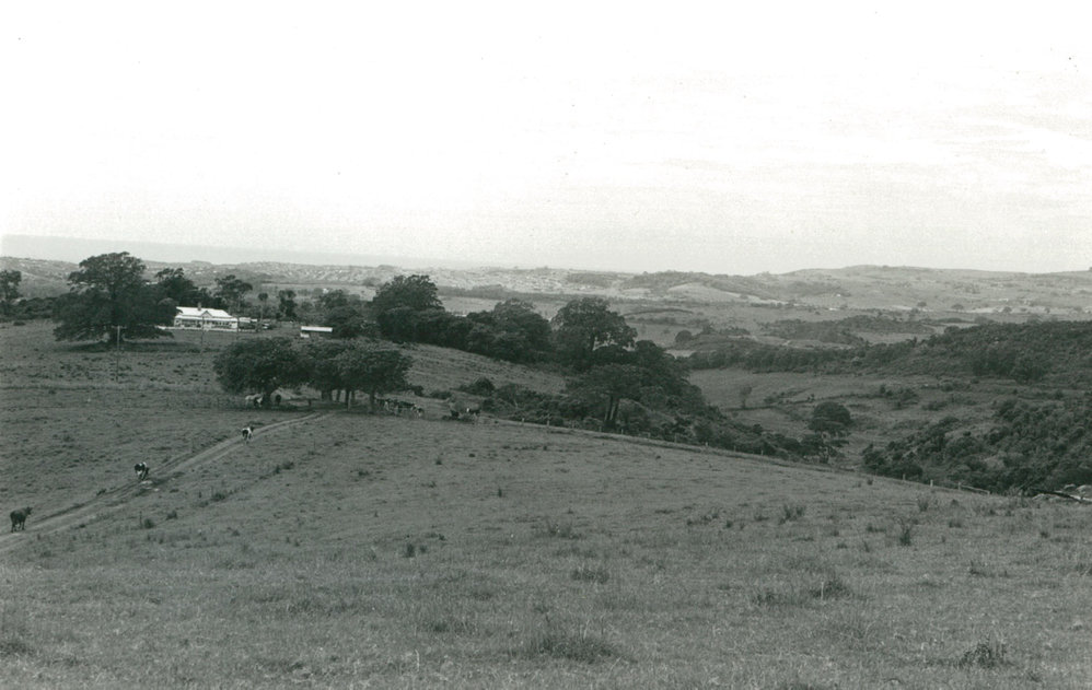 Bellmont Farm from Dunster's Hill