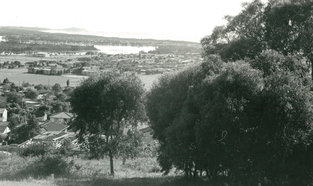 View from Mount Warrigal 