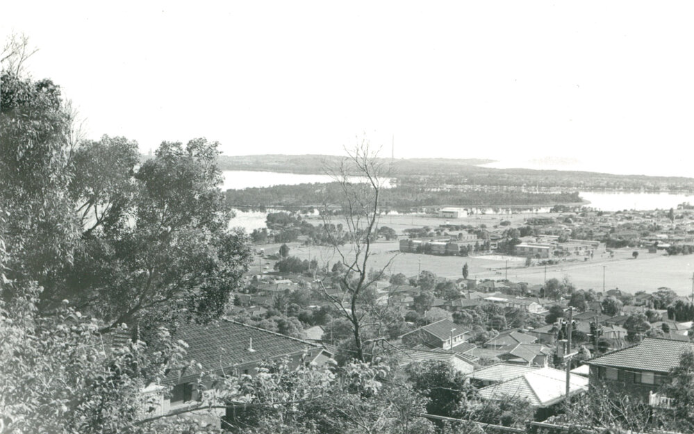 View from Mount Warrigal 