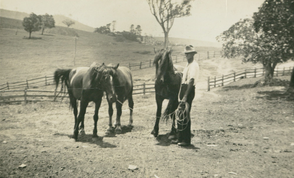 Fred McDonald with Horses