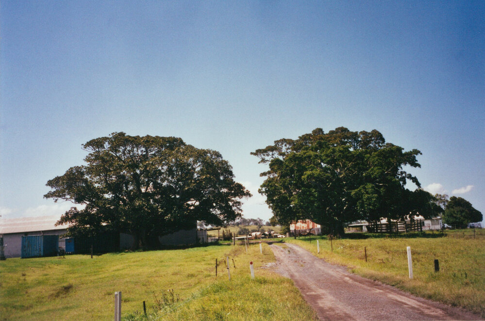 Johnston's Meadows, Albion Park