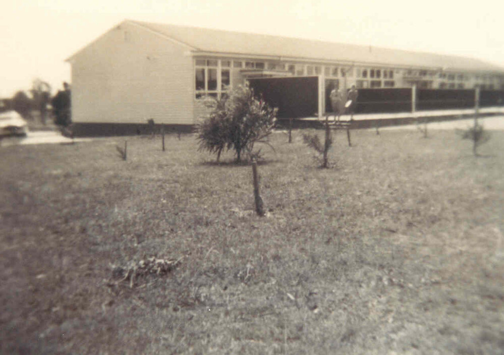 Albion Park Rail Public School