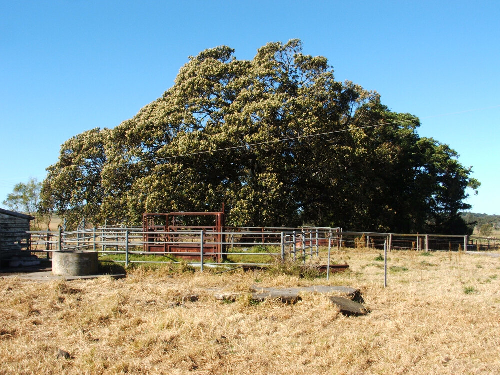 'Glanworth', Dunmore