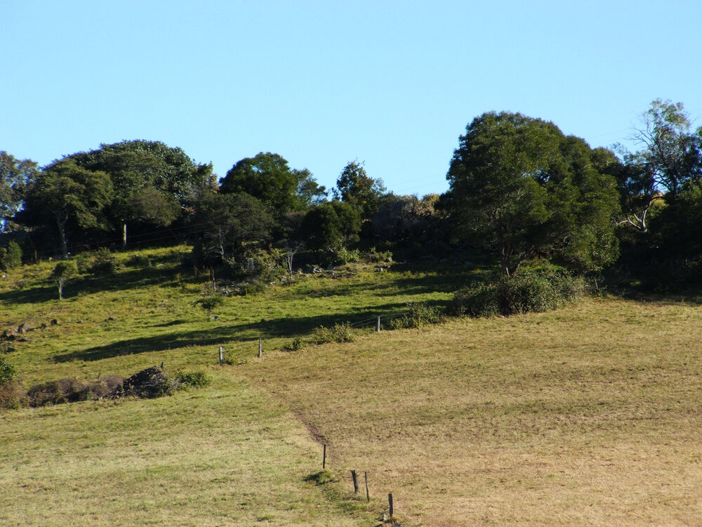 Browns Road, Dunmore